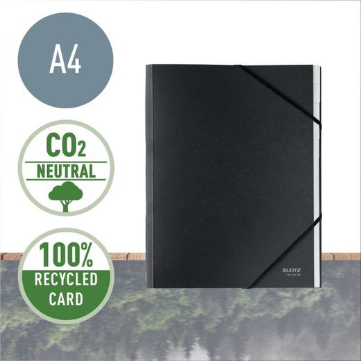 Trieur avec 12 onglets en carton Leitz Recycle