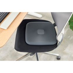 Almofada oscilante ativa Leitz Ergo