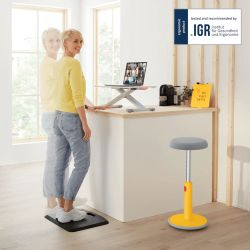 Bureau Leitz Ergo Cosy Riser