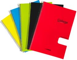 Cuaderno de tapa de plástico College. Varios rayados