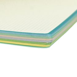 Cahier microperforé, couverture plastique, 150 feuilles, 80 g