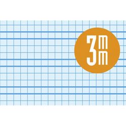 lamelle taille 4ème cahiers à spirale