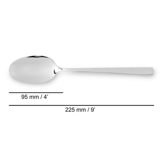 Colher de Servir 257mm Série Capri