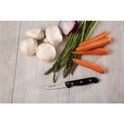 Couteau d'office 80mm Blister - Maitre