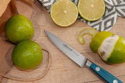 Cuchillo Mondador Serie Brooklyn 100mm