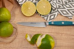 Cuchillo Mondador Serie Brooklyn 100mm