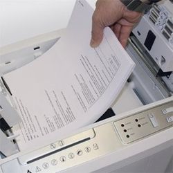 triturador automático ideal 8280 ccshredcat