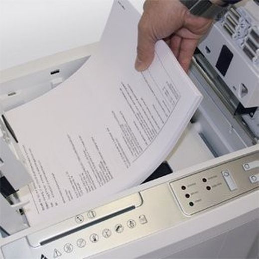 triturador automático ideal 8280 ccshredcat