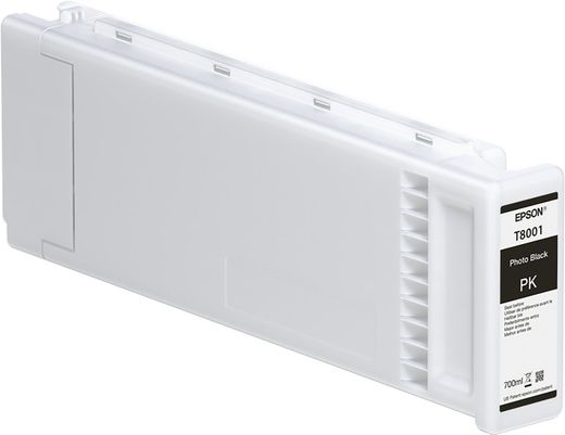 EPSON C13T800100 Negro