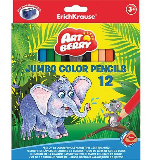 étui de peinture triangulaire art berry