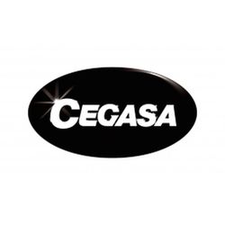 Lampe de poche professionnelle 1000 lumens