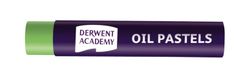 Lot de 12 bâtons de peinture pastel à l'huile Derwent