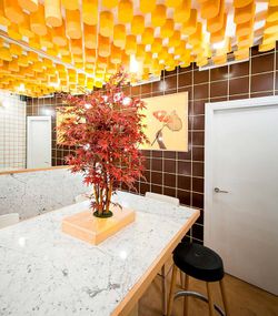 Panneau de mousse acoustique insonorisant. Cylindre