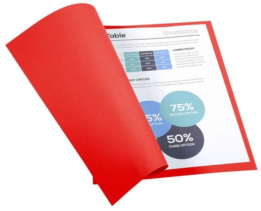 Colis 100 sous-dossiers foldyne a4 220 grs