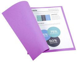 Colis 100 sous-dossiers foldyne a4 220 grs