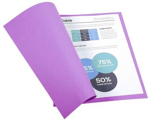 Colis 100 sous-dossiers foldyne a4 220 grs