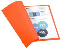 Colis 100 sous-dossiers foldyne a4 220 grs