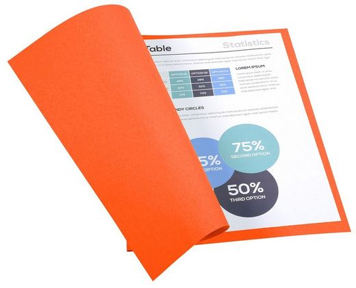 Colis 100 sous-dossiers foldyne a4 220 grs