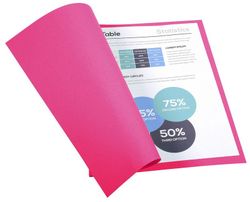 Colis 100 sous-dossiers foldyne a4 220 grs