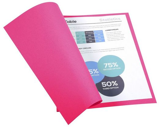 Colis 100 sous-dossiers foldyne a4 220 grs