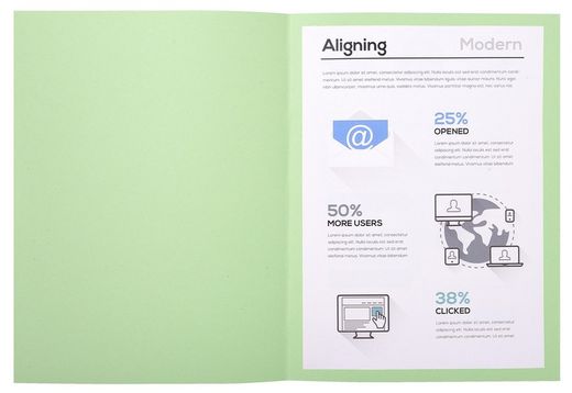 Colis 100 sous-dossiers foldyne a4 220 grs