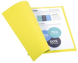Colis 100 sous-dossiers foldyne a4 220 grs