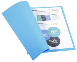 Colis 100 sous-dossiers foldyne a4 220 grs