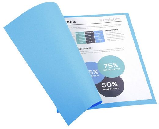 Colis 100 sous-dossiers foldyne a4 220 grs