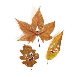 Autocollants Rosto Format 210 X 148 mm 124 unités