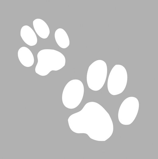 Modèle artisanal de colle chat 8X8 cm