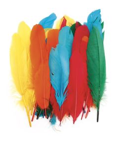 Pénalités d'Oie Triées 15 grammes