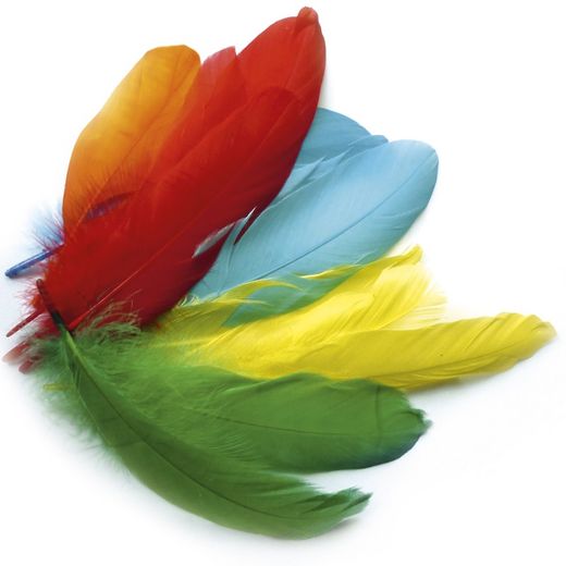 Pénalités d'Oie Triées 15 grammes