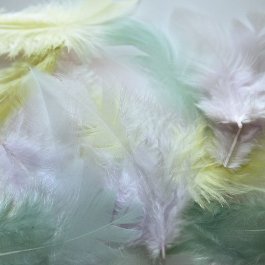 Penas 20 unités 7 cm Galo Foncé