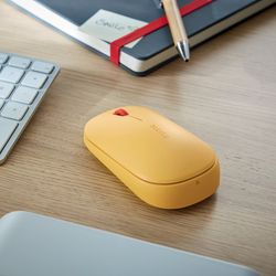Souris sans fil double confortable Leitz