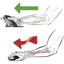 Souris verticale ambidextre sans fil Penguin