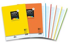 Recharge de papier Pro Lamela. 2 arrachés