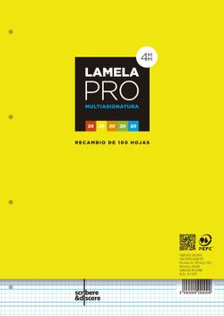 Recharge de papier Pro Lamela. 2 arrachés