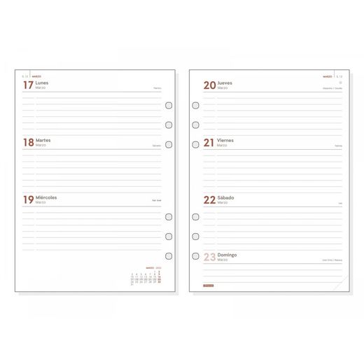 Remplacer.Annuel.1000 Affichage horizontal semaine 2025+ R1093