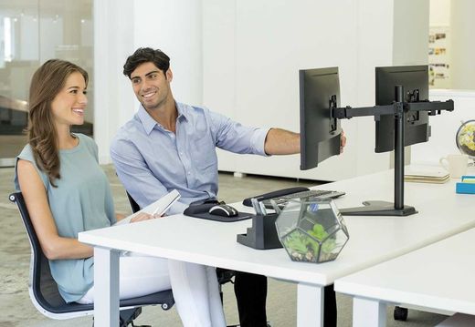 Suporte básico para monitor duplo horizontal de série profissional