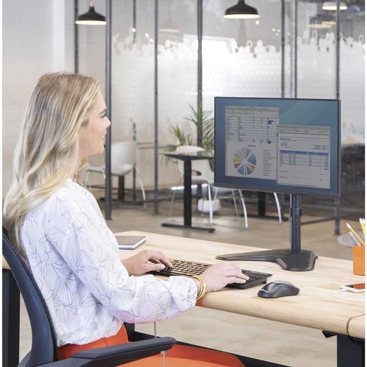 Prise en charge de base de la série professionnelle pour un moniteur