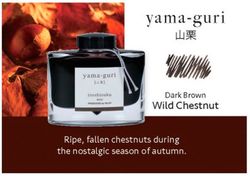 Tinteiros Iroshizuku. 24 cores de tinta diferentes