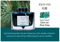 Tinteiros Iroshizuku. 24 cores de tinta diferentes