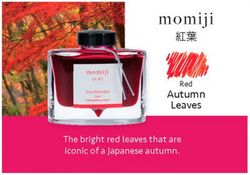 Tinteiros Iroshizuku. 24 cores de tinta diferentes