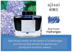 Tinteiros Iroshizuku. 24 cores de tinta diferentes