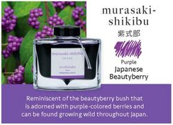 Tinteiros Iroshizuku. 24 cores de tinta diferentes