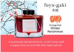 Tinteiros Iroshizuku. 24 cores de tinta diferentes