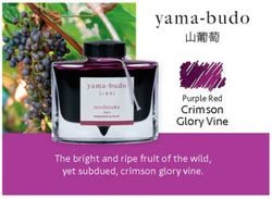 Tinteiros Iroshizuku. 24 cores de tinta diferentes