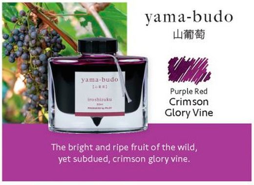 Tinteiros Iroshizuku. 24 cores de tinta diferentes