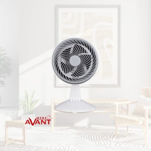 Ventilador de sobremesa 10" diametro 25cm altura 5 aspas 80W